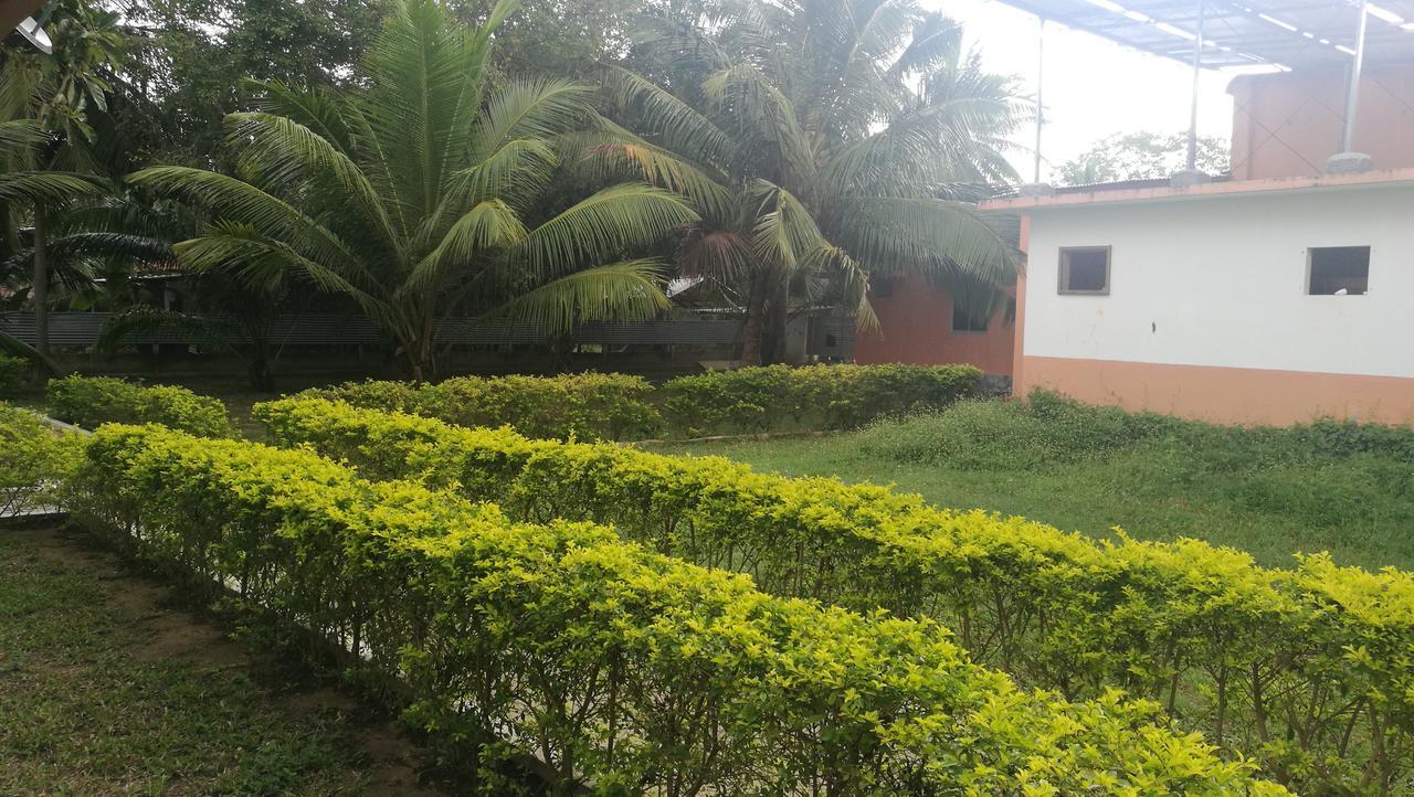 Friends Paradise Kilinochchi Ngoại thất bức ảnh